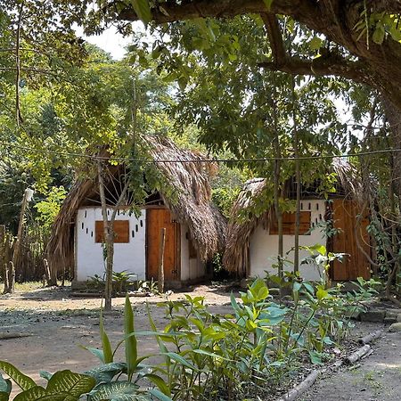 La Aldea Hostel, Camping Y Hamacas 팔로미노 외부 사진