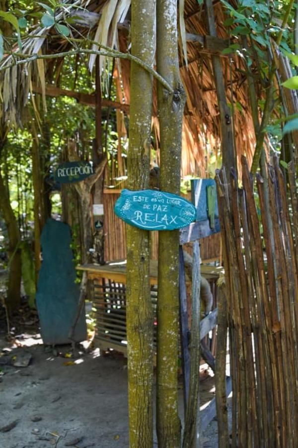 La Aldea Hostel, Camping Y Hamacas 팔로미노 외부 사진