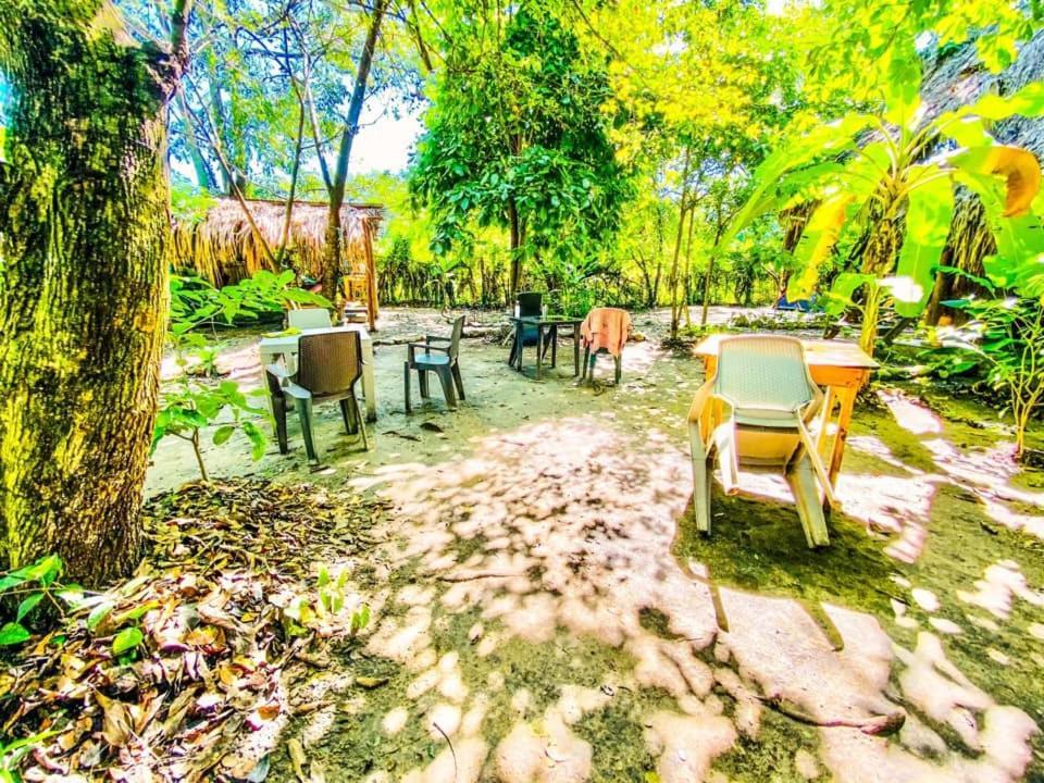 La Aldea Hostel, Camping Y Hamacas 팔로미노 외부 사진