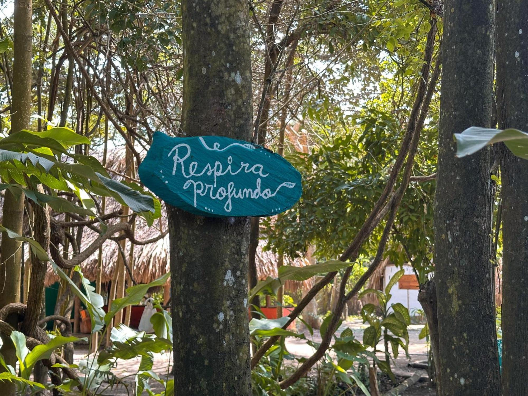 La Aldea Hostel, Camping Y Hamacas 팔로미노 외부 사진