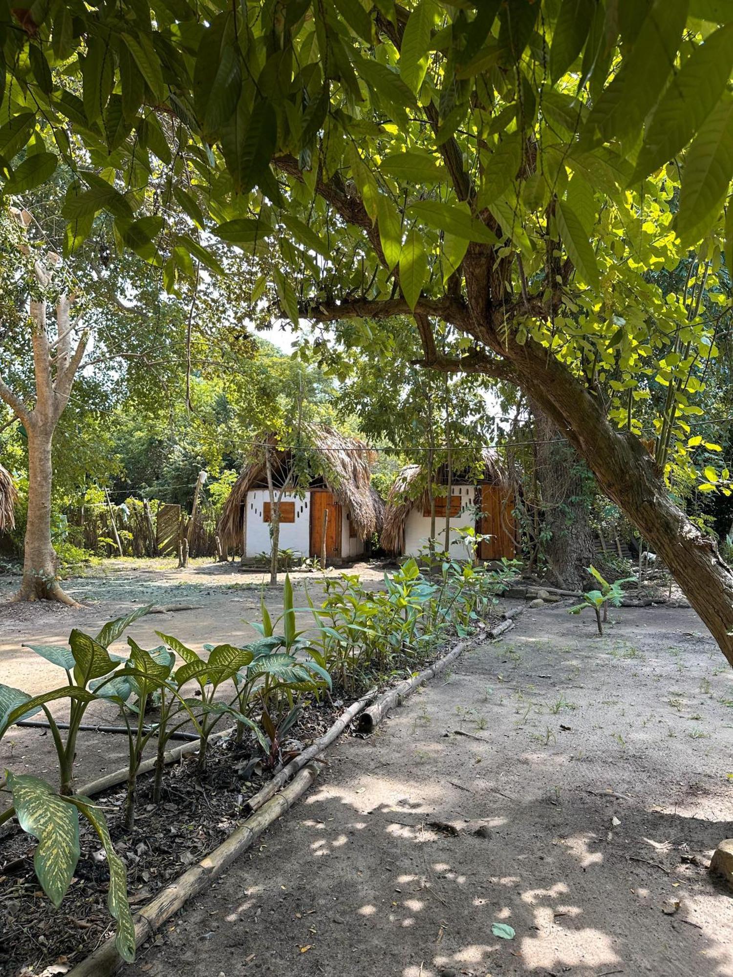 La Aldea Hostel, Camping Y Hamacas 팔로미노 외부 사진