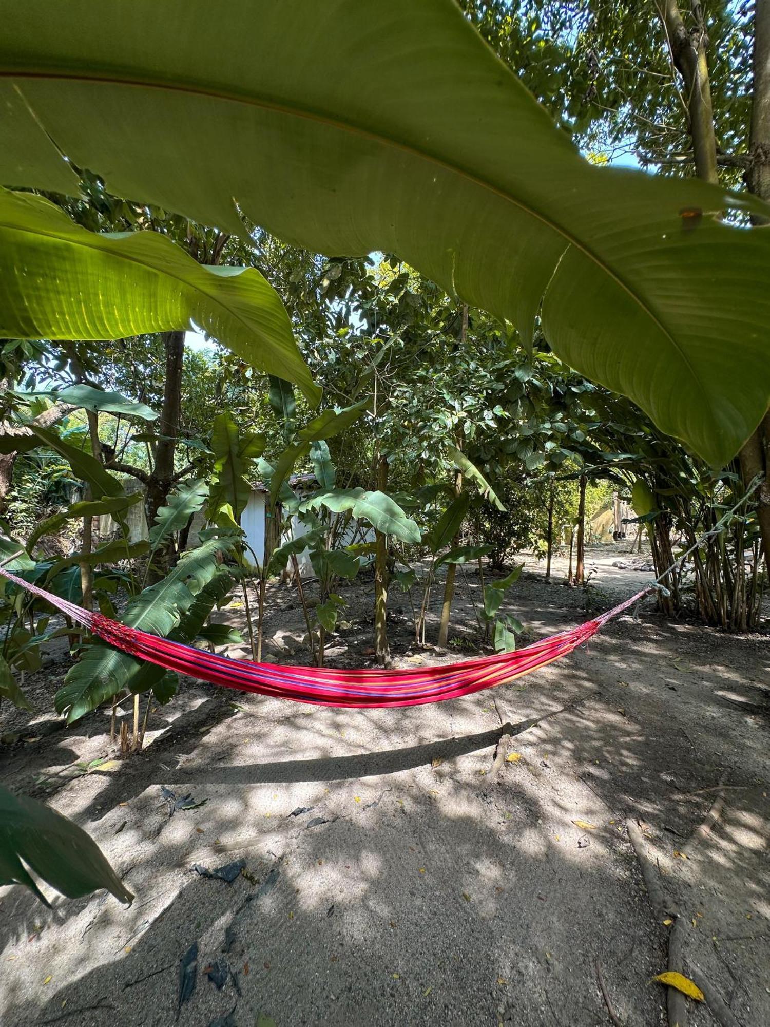 La Aldea Hostel, Camping Y Hamacas 팔로미노 외부 사진